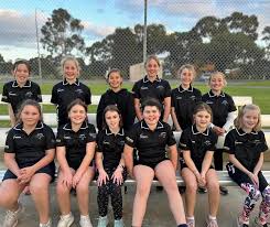 Image result for Molineux Netball Club
