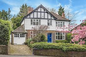 Image result for Sanderstead Hockey Club