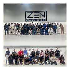 Image result for Horndean Zen Judo Club