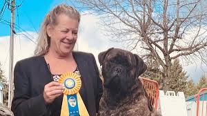 Image result for Banbury Bulldogs