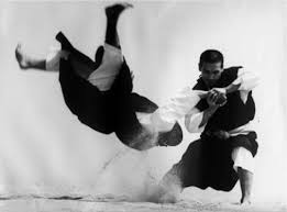 Image result for Winchester Shorinji Kempo Club