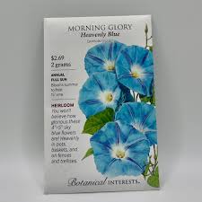 Image result for Ipomoea Heavenly Blue