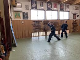 Image result for Bujinkan Plymouth Dojo