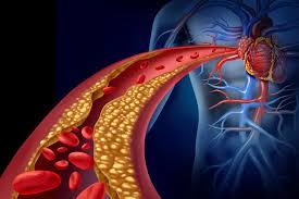 Image result for blood