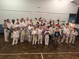 Image result for Kenshukai Karate