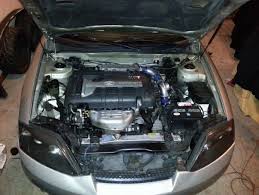 Image result for tuscani tibu...start=0