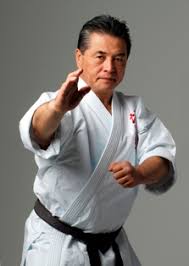 Image result for Aylesbury Vale Seido Karate