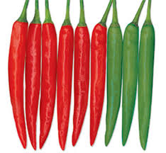 Afbeeldingsresultaat voor turkish cayenne hot pepper