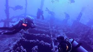 Image result for Aquanauts Dive Centre Sunderland
