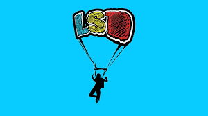 Image result for Leeds University Union Skydiving Club