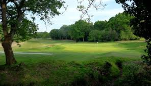 Image result for Brokenhurst Manor Golf Club