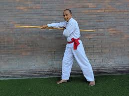 Image result for Silat Pd (Perisai Diri) UK