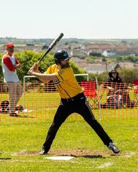 Image result for Taunton Muskets Baseball Club