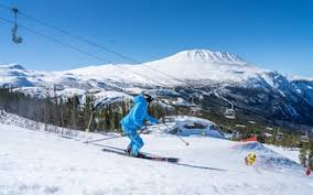 Image result for British Norwegian Ski Club