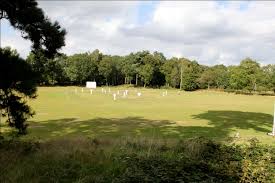 Image result for Bollington Cricket Club