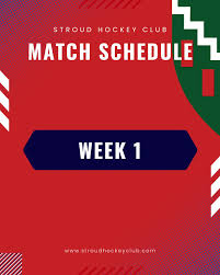 Image result for Stroud Hockey Club