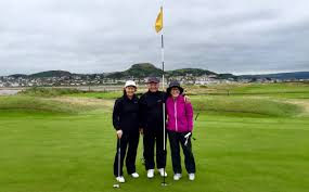 Image result for Conwy Bowling Club