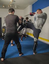 Image result for Wolverine MMA