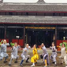 Image result for Shaolin Ancestors kung Fu School