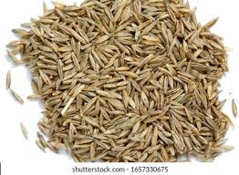 Attēlu rezultāti vaicājumam “Poa pratensis fruit”