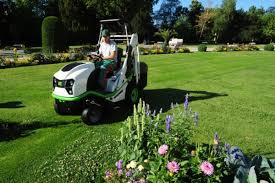 Image result for etesia tehron