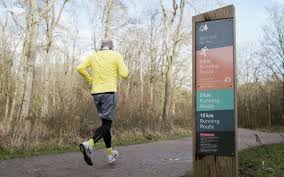 Image result for Wootton Road Runners