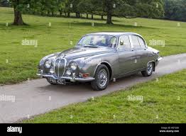 Image result for Warwick Gray 1965 Jaguar