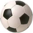 Fiero Bicentenario (<b>Balon</b> Torneo Bicentenario 2010)