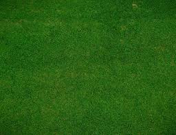 Image result for Edinburgh Civil Service Bowling Club