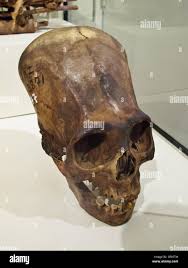 Image result for elongated skulls