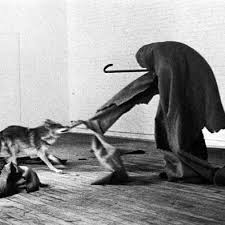 Image result for Brogue: Community Edition