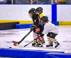 Image result for Norton Cyclones Skater Hockey Club