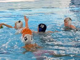 Image result for Basingstoke Bluefins Water Polo Club