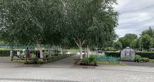 Image result for Gosforth Scrabble Club