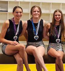 Image result for Harnham Gymnastics Club