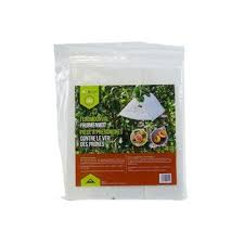 Attēlu rezultāti vaicājumam “Grapholita funebrana larva”