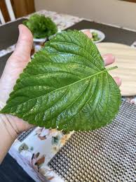 Image result for 깱깲깳깴깵깶깷깺깾깿꺀꺁꺂꺃꺆꺇꺈꺉꺊꺋꺍꺎꺏꺐