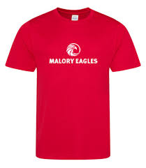 Image result for Malory Eagles volleyball club
