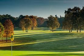 Image result for Henley Golf Club