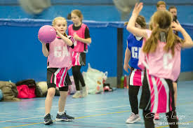 Image result for Greencroft Netball Club