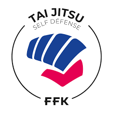 Image result for Tae-jitsu