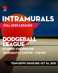 Image result for York University Dodgeball Club