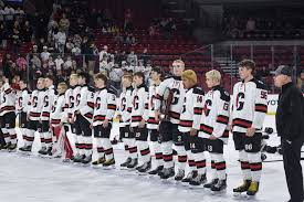 Image result for Demons Skater Hockey Club