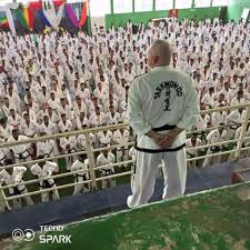 Image result for I T F Taekwondo (Andover)