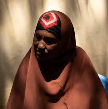 Attēlu rezultāti vaicājumam “Badhamia bethelii stalked”