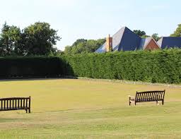 Image result for Merrow Cricket Club