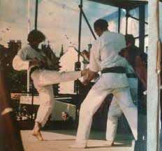 Image result for Thatcham Wado Karate Club