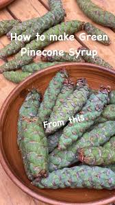 Attēlu rezultāti vaicājumam “Pinus strobus fruit”