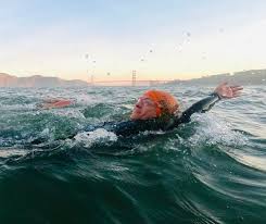 Image result for Loftus Dolphins Swimming Club