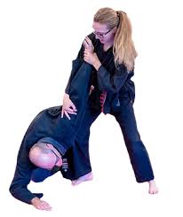 Image result for Mushin Kempo Jiu Jitsu Club